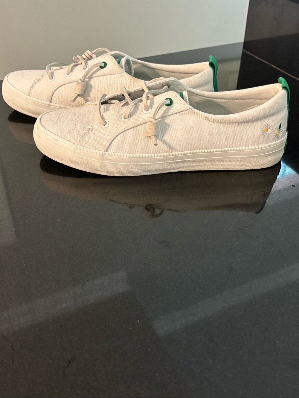 Sherry Canvas Shoes “Summer I Turned Pretty” American Eagle size 9.5